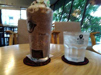 Coffee Lands - Your Taste