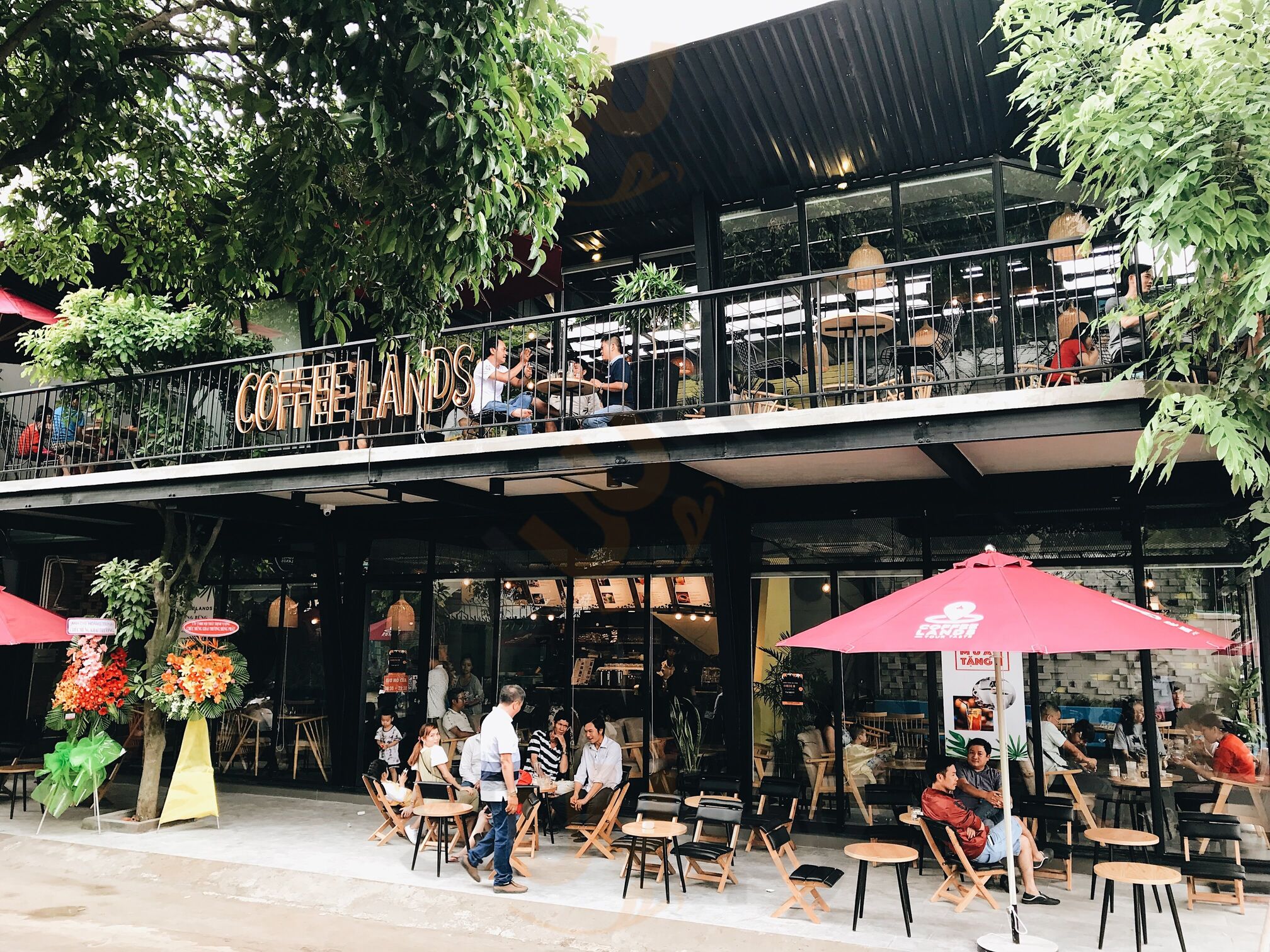 Coffee Lands - Your Taste