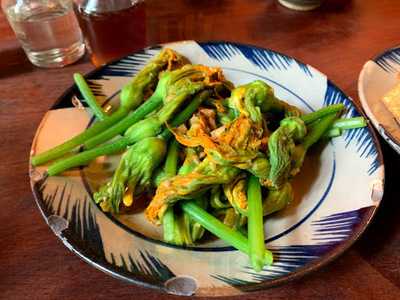 The Rio Rooftop Jungle