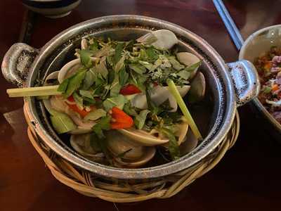 The Rio Rooftop Jungle