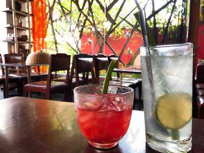 The Rio Rooftop Jungle