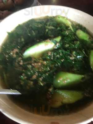 The Rio Rooftop Jungle