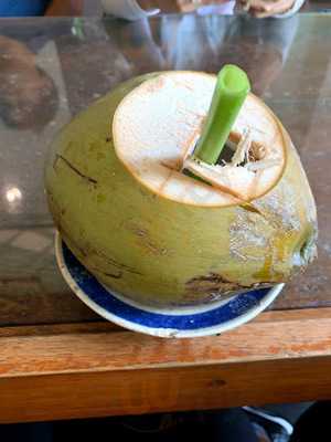 The Rio Rooftop Jungle