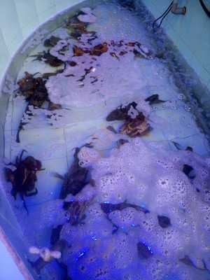 Nhà Hàng Hương Thời Gian