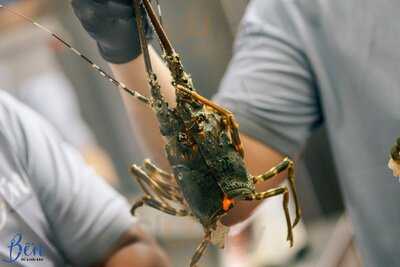 Bến - Ốc & Seafood Station