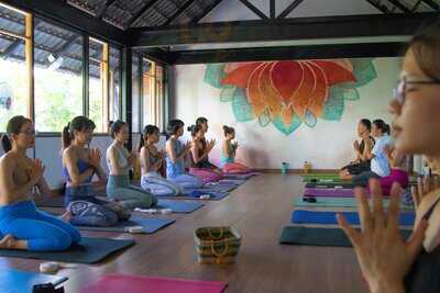 Spanda Yoga, Cafe & Vegetarian