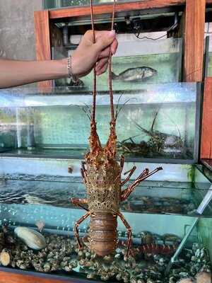 Nhà Hàng Hải Sản Cá Lửa