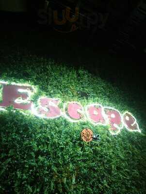 Escape Lounge And Rooftop
