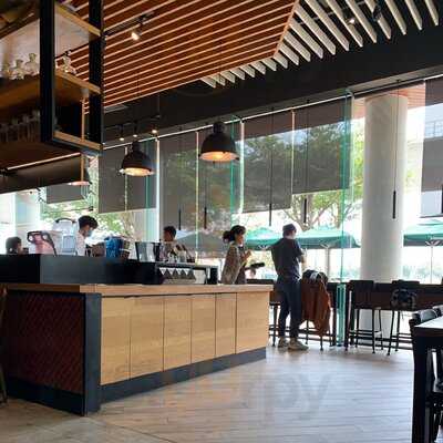 Starbucks Vista