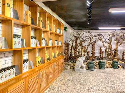 Trung Nguyên Legend