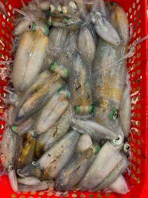 NhÀ HÀng HẢi SẢn BiỂn RẠng