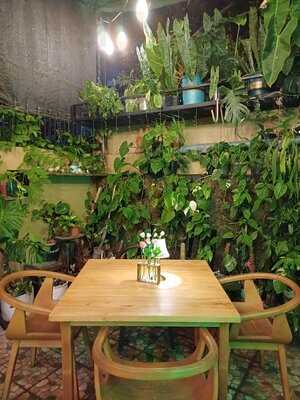 Terraviva Pizza & Italian Cuisine