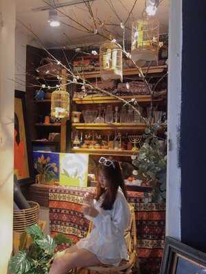 Mezzico Tea And Coffee