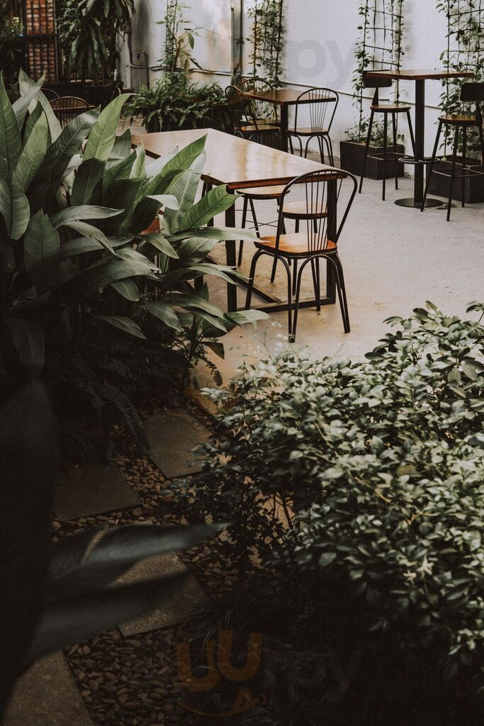 Roast & Smoke Thao Dien