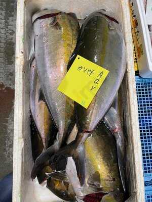 Takumi-tei, Sài Gòn