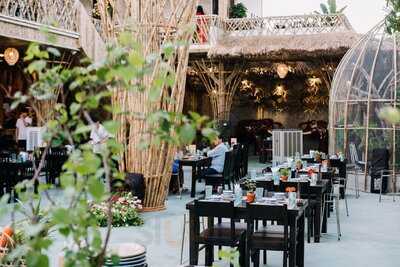 Rớ – Ẩm Thực Đồng Quê