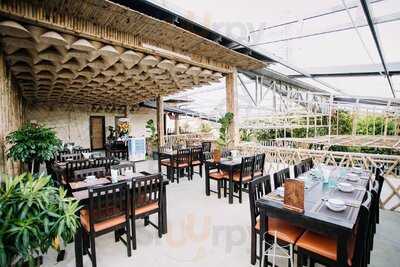 Rớ – Ẩm Thực Đồng Quê