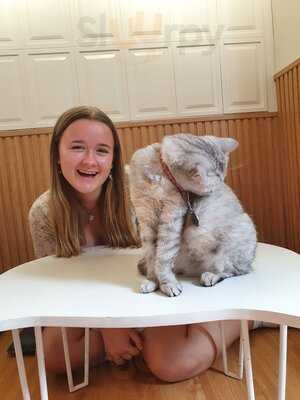 Catfé, Cat Café Saigon