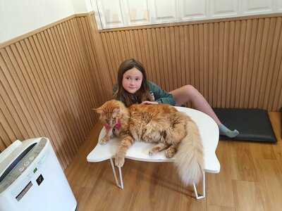 Catfé, Cat Café Saigon