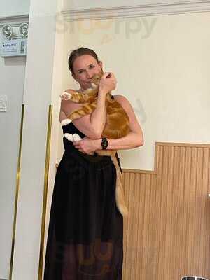 Catfé, Cat Café Saigon