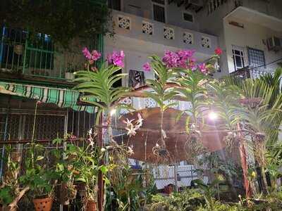 Madame Hanh Restaurant