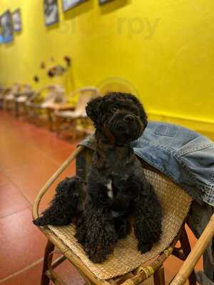 22/caper Diem Tea&coffee