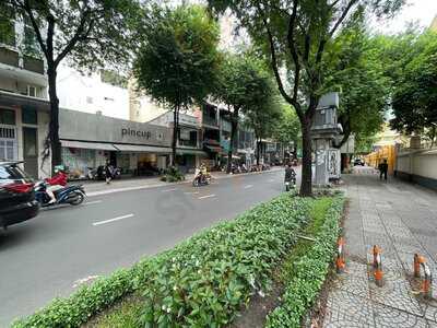Pincup - Tram Nap Cafein