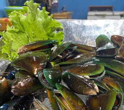 The Coconut Tree Mui Ne