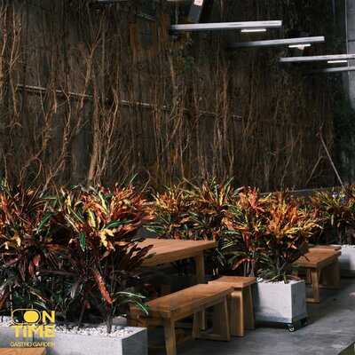 On Time Gastro Garden