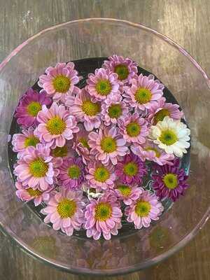 Chill Thái 41 Hồng Hà