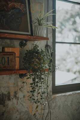 Cà Zone - Caffè & Bites