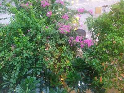 Lazeez Indian Halal Restaurant