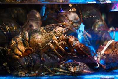 Ớt Xanh Ocean Restaurant