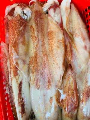 Hải Sản Phong MẬp 01 Triệu Việt Vương