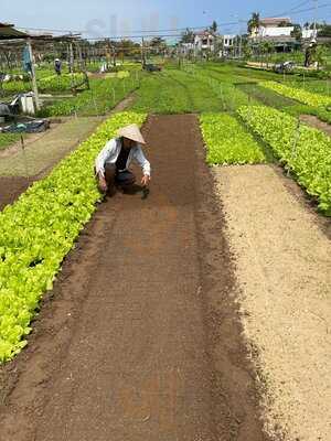 Real Hoian Experience