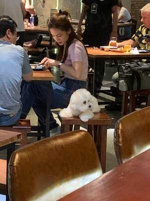 Steersman Brewery - Taproom & Restaurant