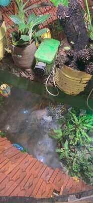 Chợ Tình Sapa - Tinh Hoa Ẩm Thực Tây Bắc