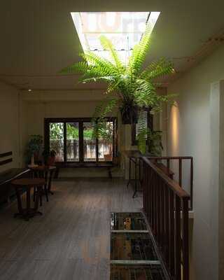 Little Cam Saigon (vo Van Tan)