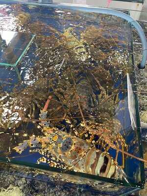 Hải Sản Hoàng Gia