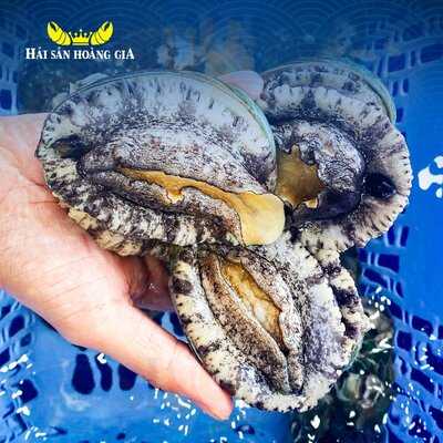 Hải Sản Hoàng Gia