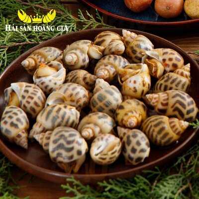 Hải Sản Hoàng Gia Quốc Hương