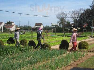 Tuấn – Organic Herb Garden Family