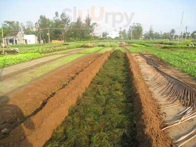 Tuấn – Organic Herb Garden Family