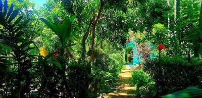 Tuấn – Organic Herb Garden Family