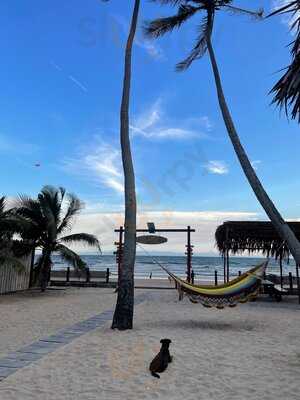 Nemo Beach Bar - Mui Ne
