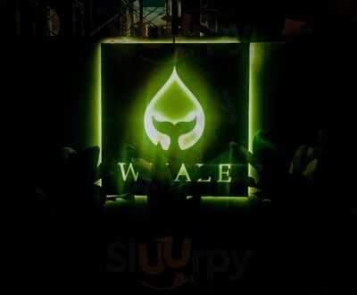 Whale Bar