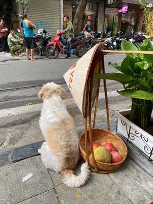 Hieu Tra Mai (mái Tea-house)