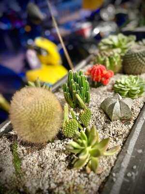 M House Fusion Restaurant & Bar