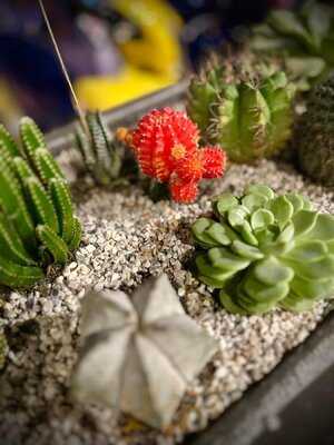 M House Fusion Restaurant & Bar