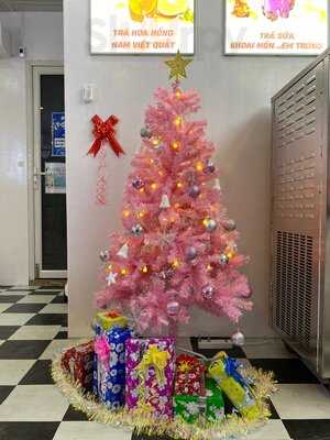 Xingfu Nguyễn Đình Chiểu